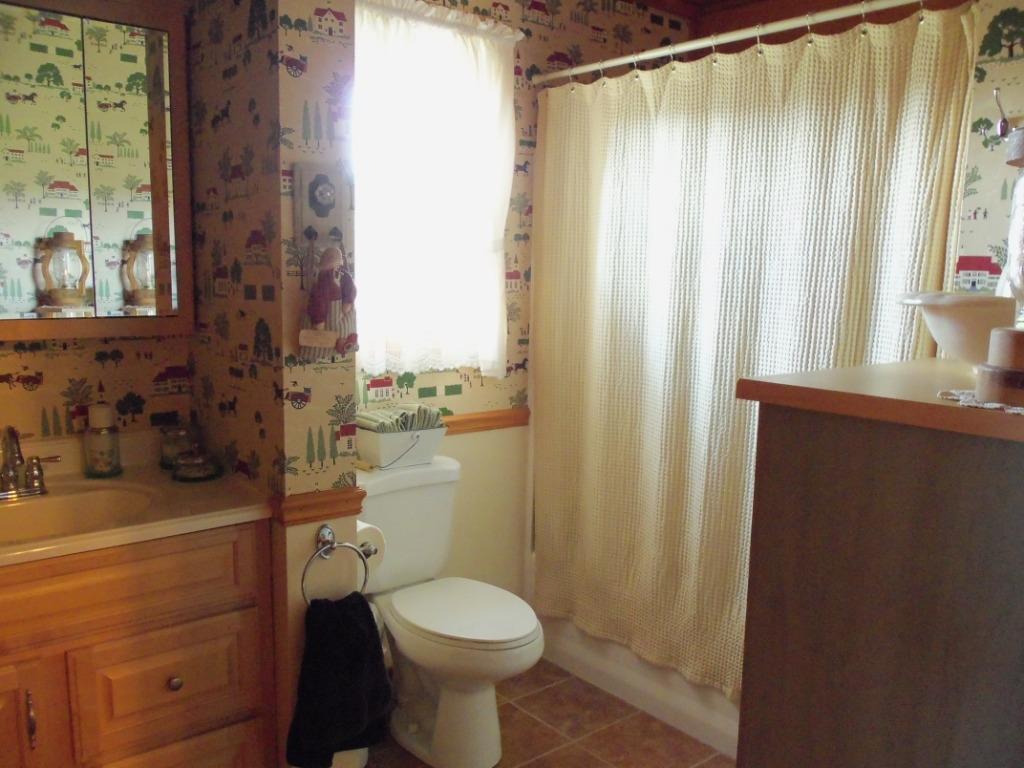 907 Zirkle Road Dandridge, TN 37725 - Photo 17 of 34 Master Bathroom