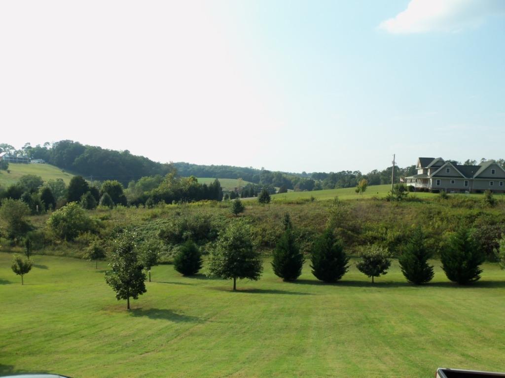 907 Zirkle Road Dandridge, TN 37725 - Photo 21 of 34 Back Porch View