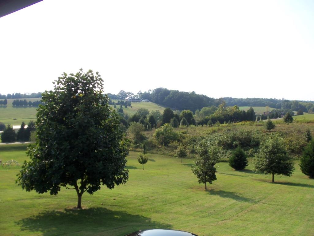 907 Zirkle Road Dandridge, TN 37725 - Photo 22 of 34 Back Porch View