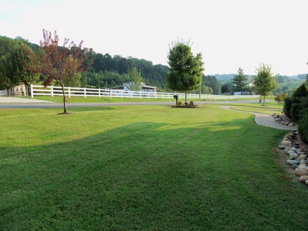 907 Zirkle Road Dandridge, TN 37725 - Photo 32 of 34 Front Yard