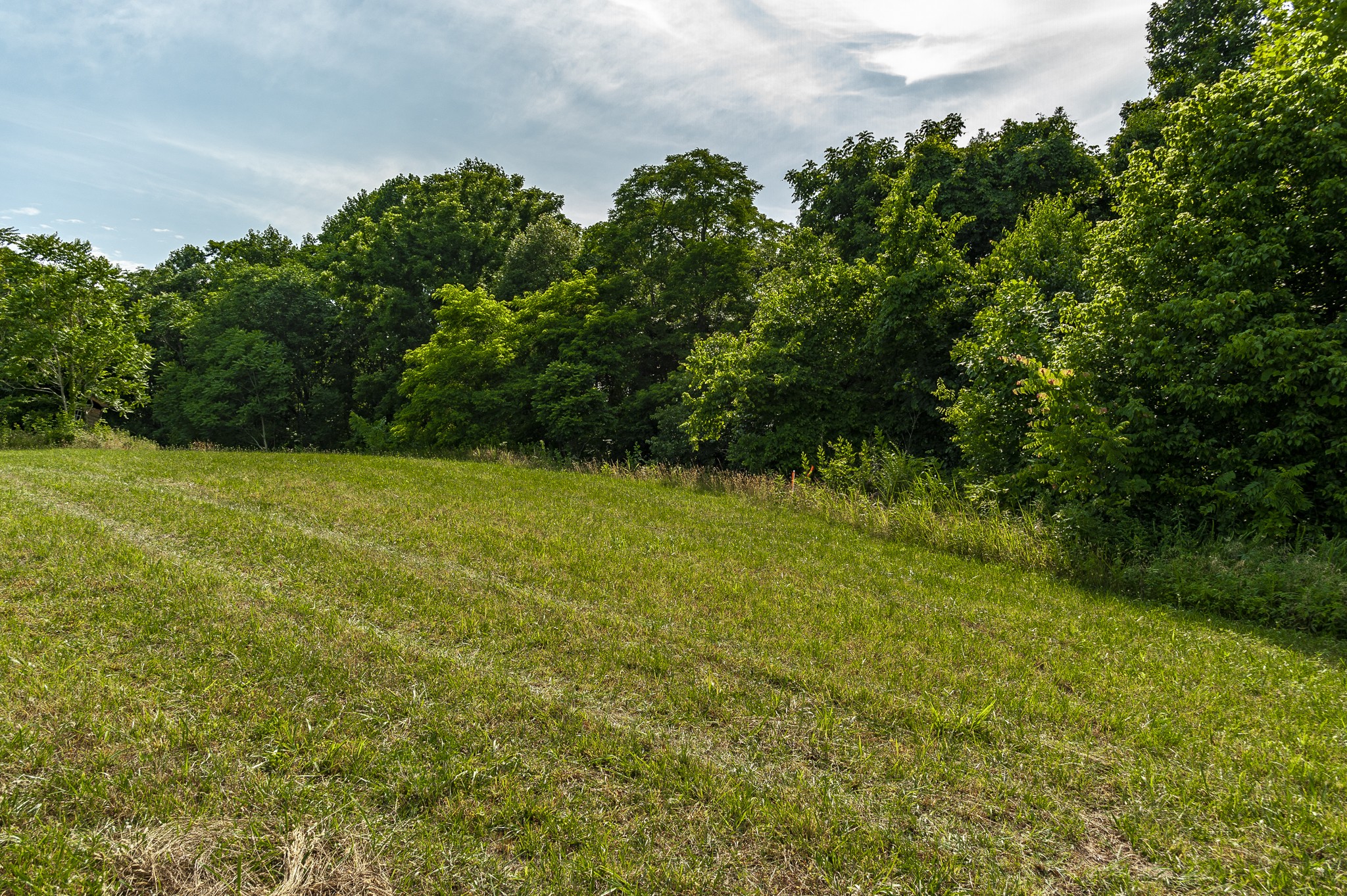 794 Howell Road Westmoreland, TN 37186 - Photo 4 of 7 Gallery Image 4
