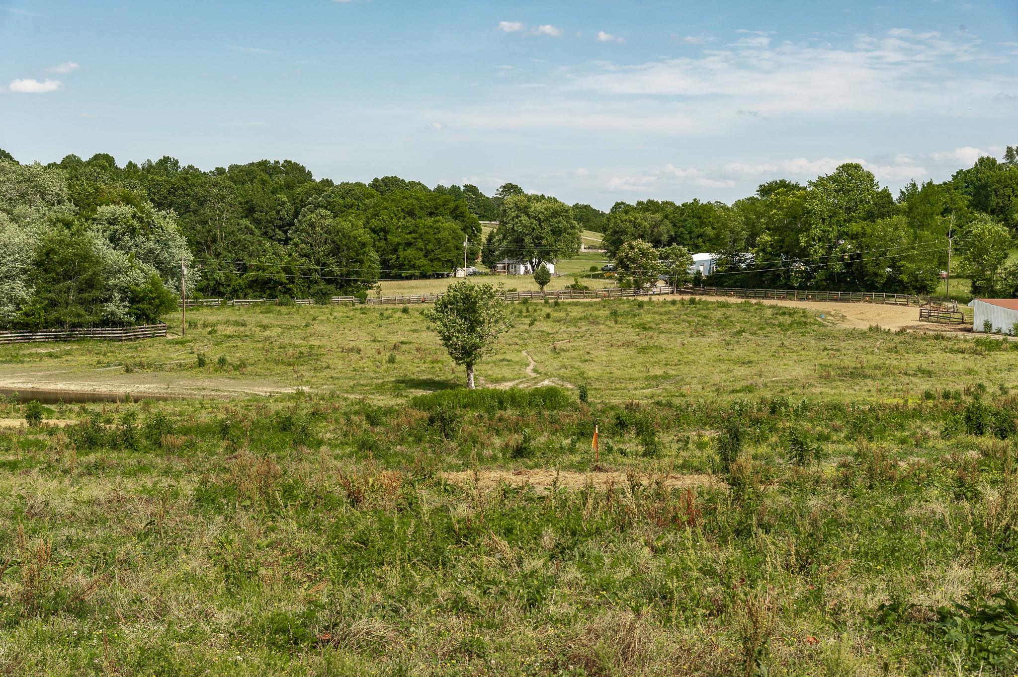 794 Howell Road Westmoreland, TN 37186 - Photo 5 of 7 Gallery Image 5