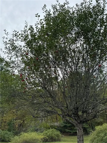 $629,900 | 1317 County Highway, Hancock, NY 13783