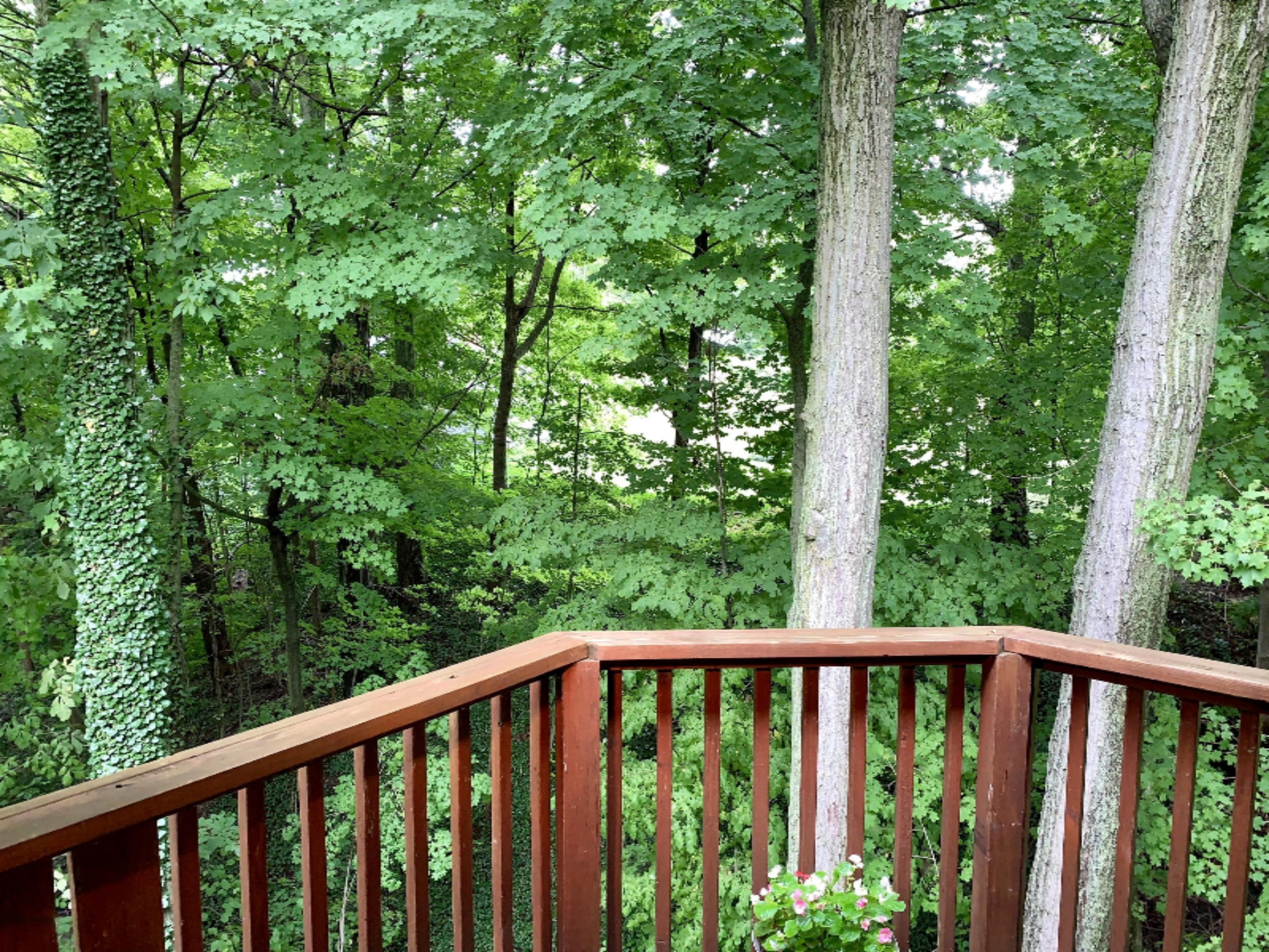 1192 Golf Road Benton Harbor, MI 49022 - Photo 37 of 76 IMG_8771
