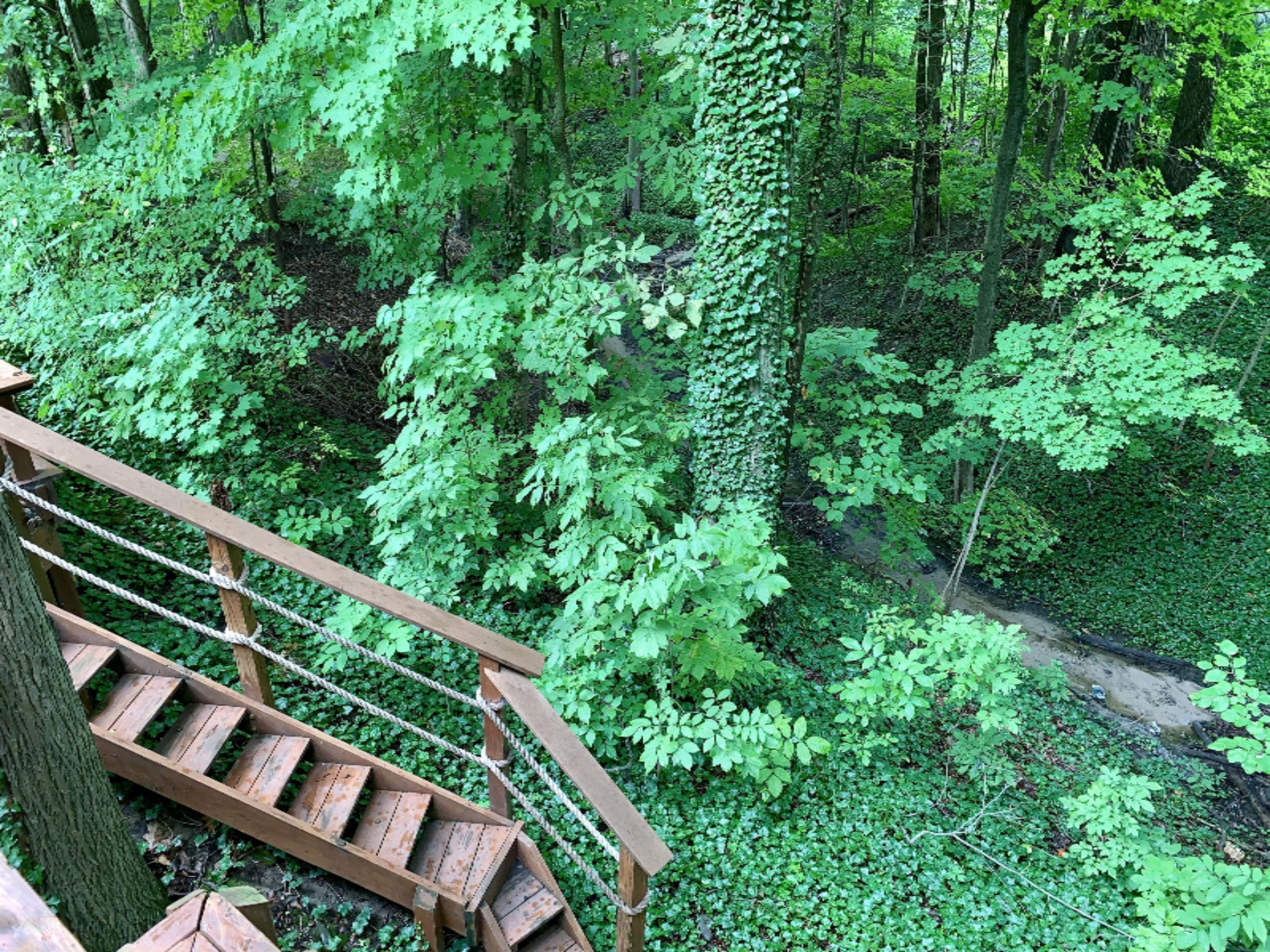 1192 Golf Road Benton Harbor, MI 49022 - Photo 54 of 76 IMG_8820