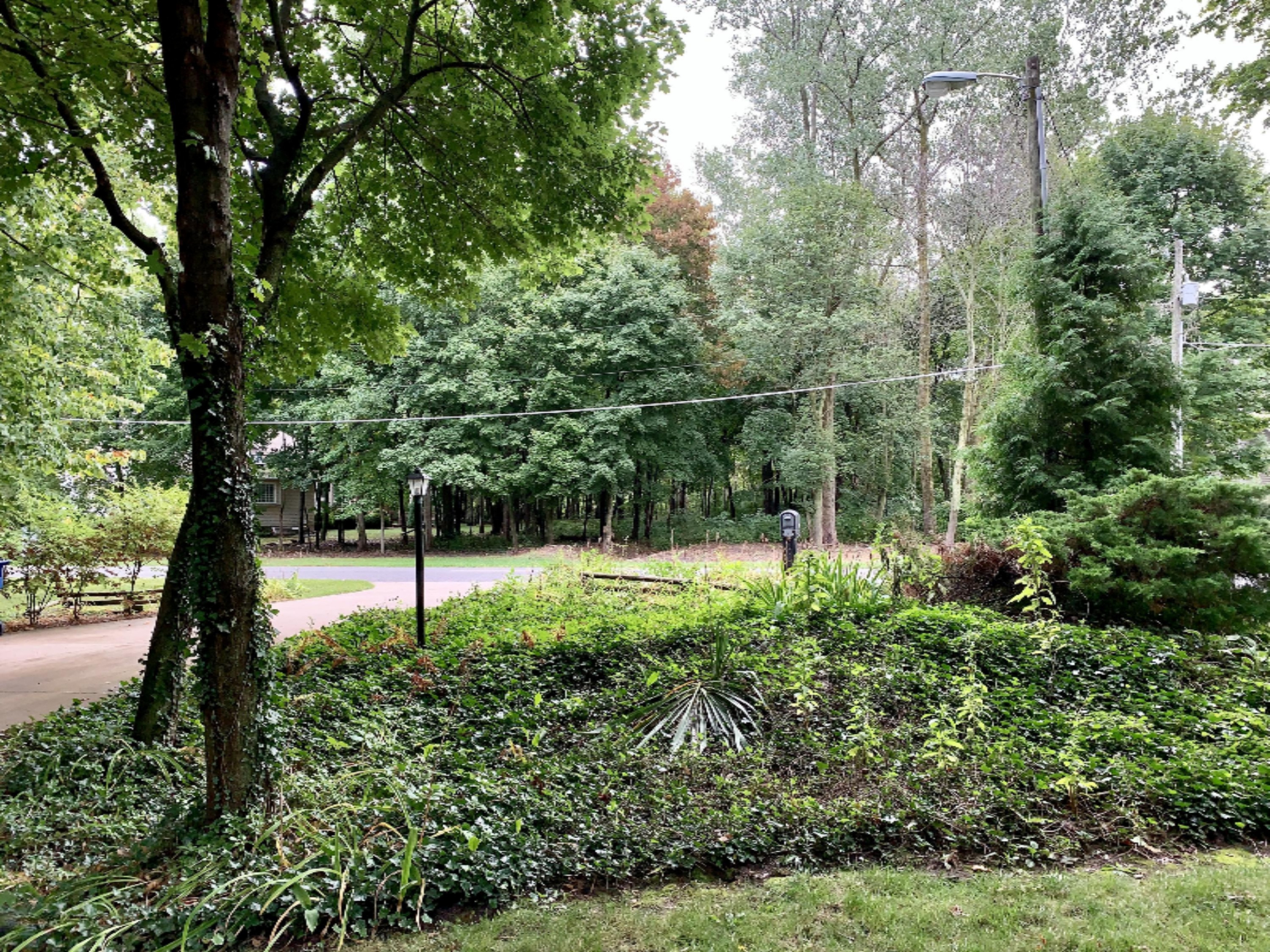 1192 Golf Road Benton Harbor, MI 49022 - Photo 61 of 76 IMG_8832