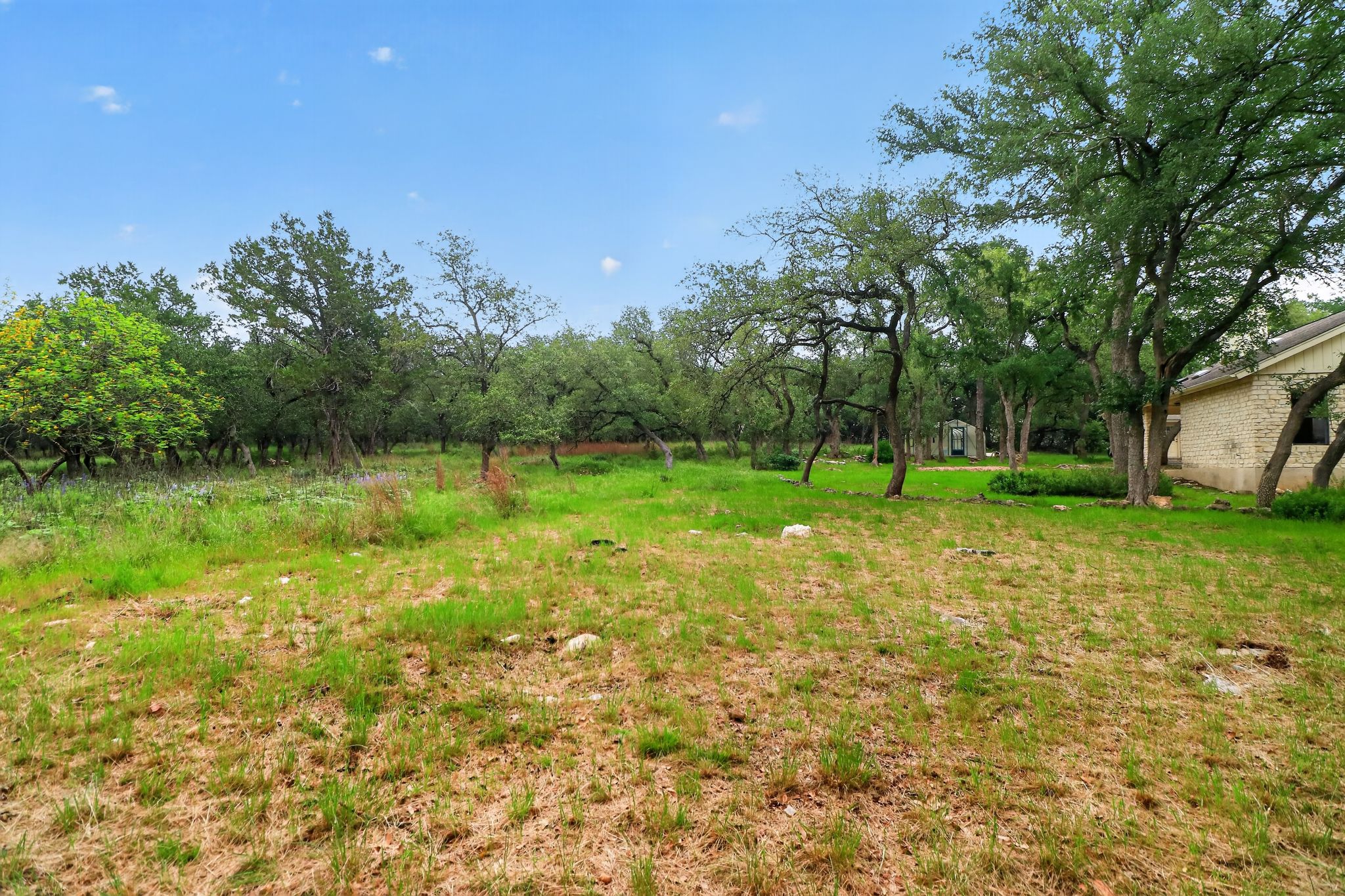 128 Mockingbird Lane Georgetown, TX 78633 - Photo 28 of 32
