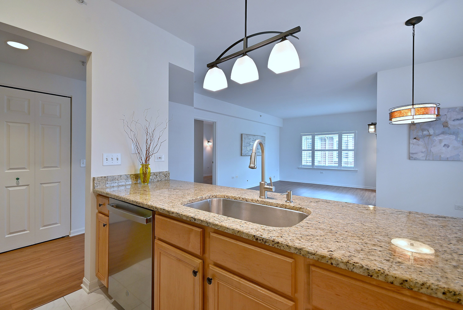 210 North Addison Avenue, Unit 301 Elmhurst, IL 60126 - Photo 17 of 36