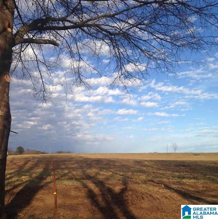 0 County Road 407 Clanton, AL 35045 - Photo 1 of 7