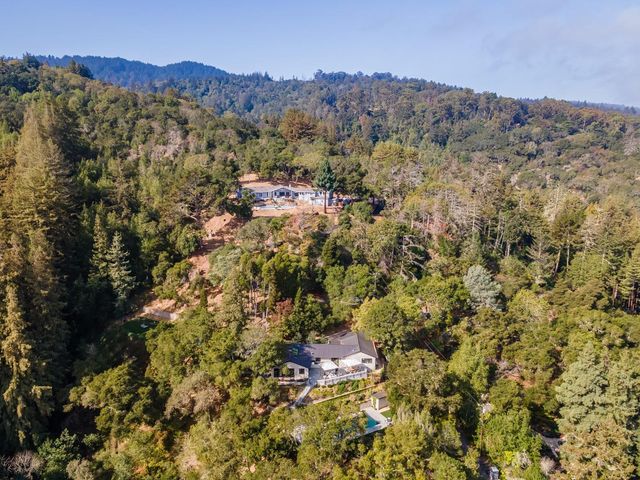 a view of a forest with mountains in the background
