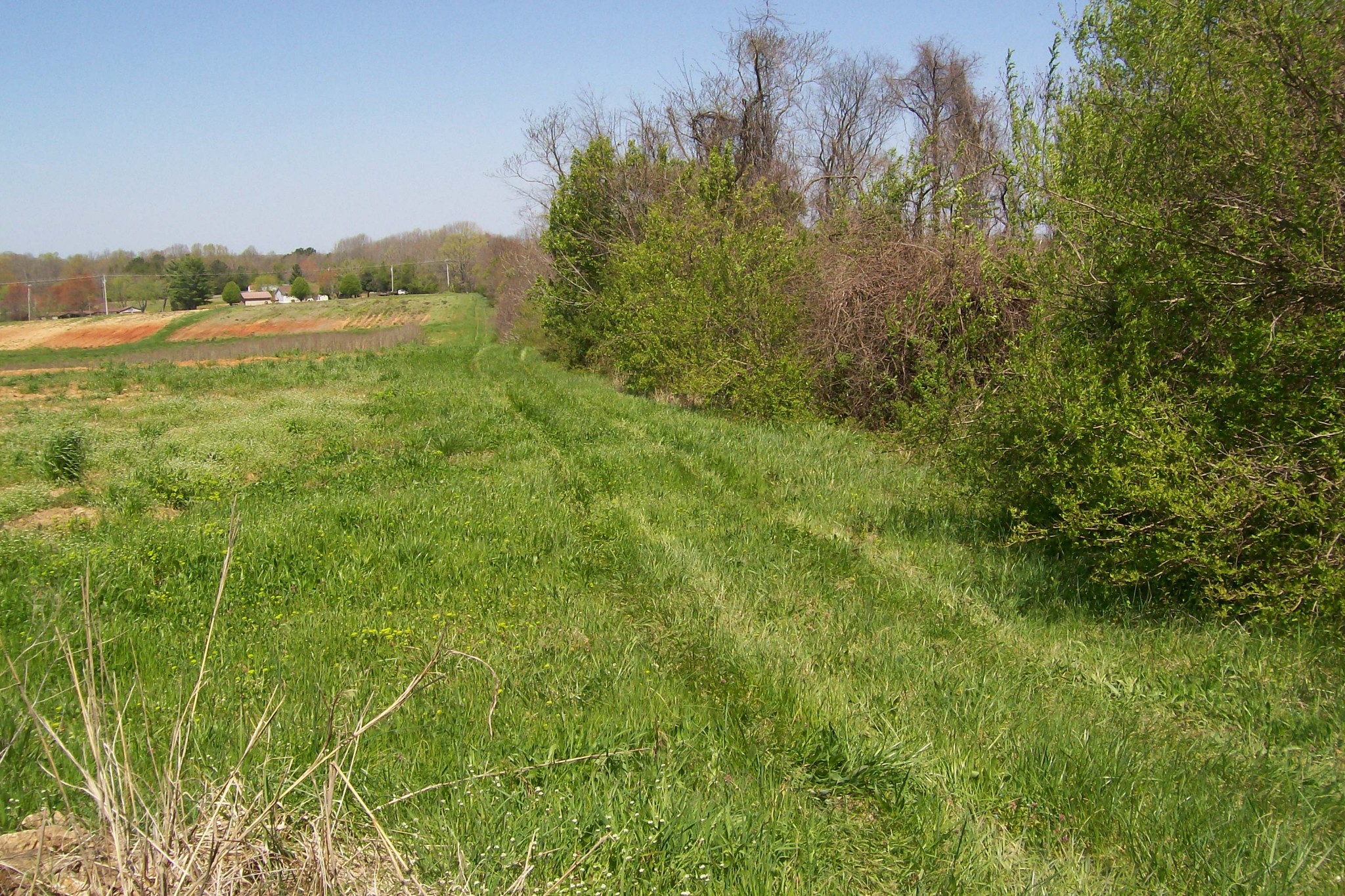 2560 Shellsford Road McMinnville, TN 37110 - Photo 10 of 11 Gallery Image 10