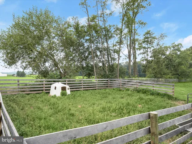a view of a park with large trees