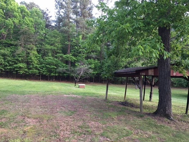 1707 Mason Road Durham, NC 27712 - Photo 12 of 17 Back yard