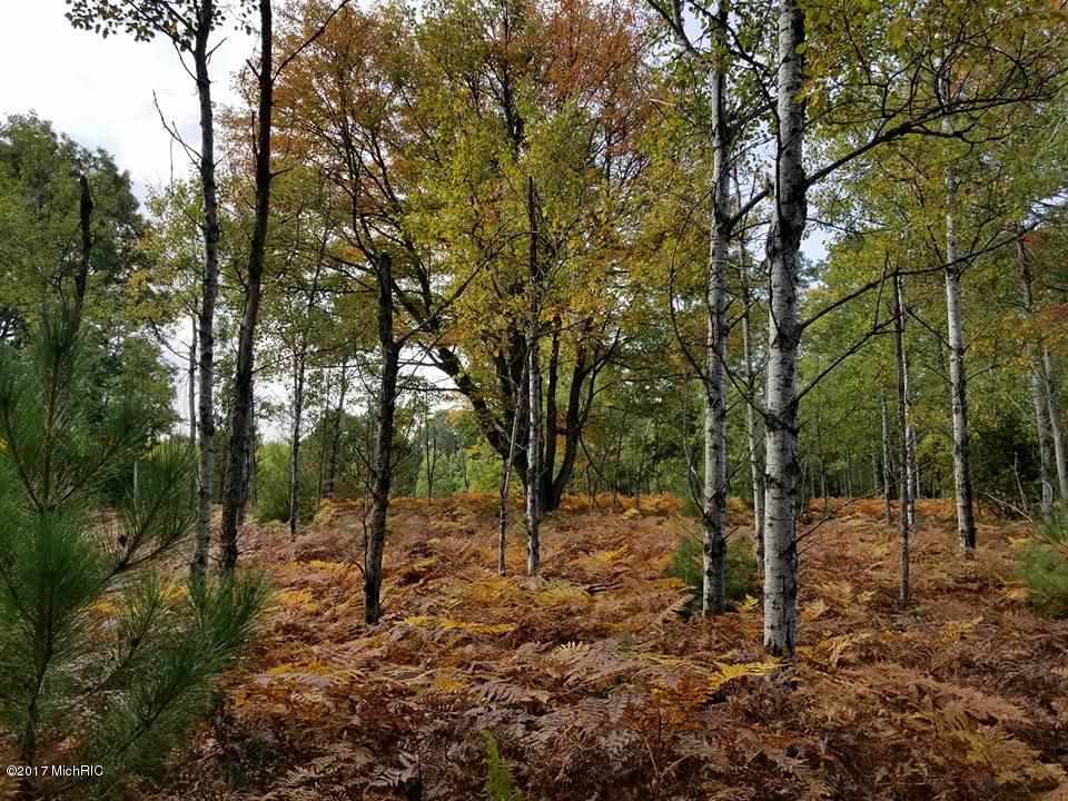 37 1/2 37 1/2 Road Manton, MI 49663 - Photo 4 of 27