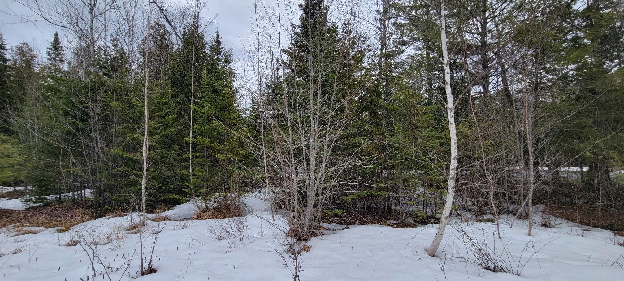 242 Call Road Milford, ME 04461 - Photo 5 of 7 20230328_122952