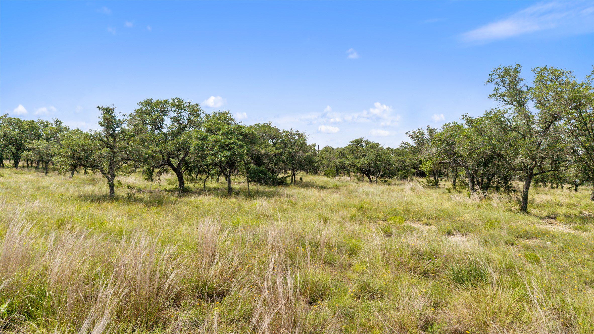 4112 Schumann Road Stonewall, TX 78671 - Photo 3 of 10 Vast natural acreage with scattered mature trees offers a serene, private setting.