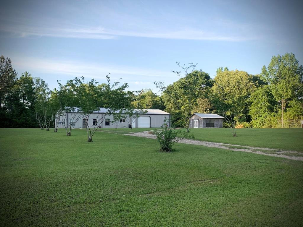 51 Dinan Salem Road Tylertown, MS 39667 - Photo 14 of 19 CREPE MYRTLE LINED DRIVEWAY