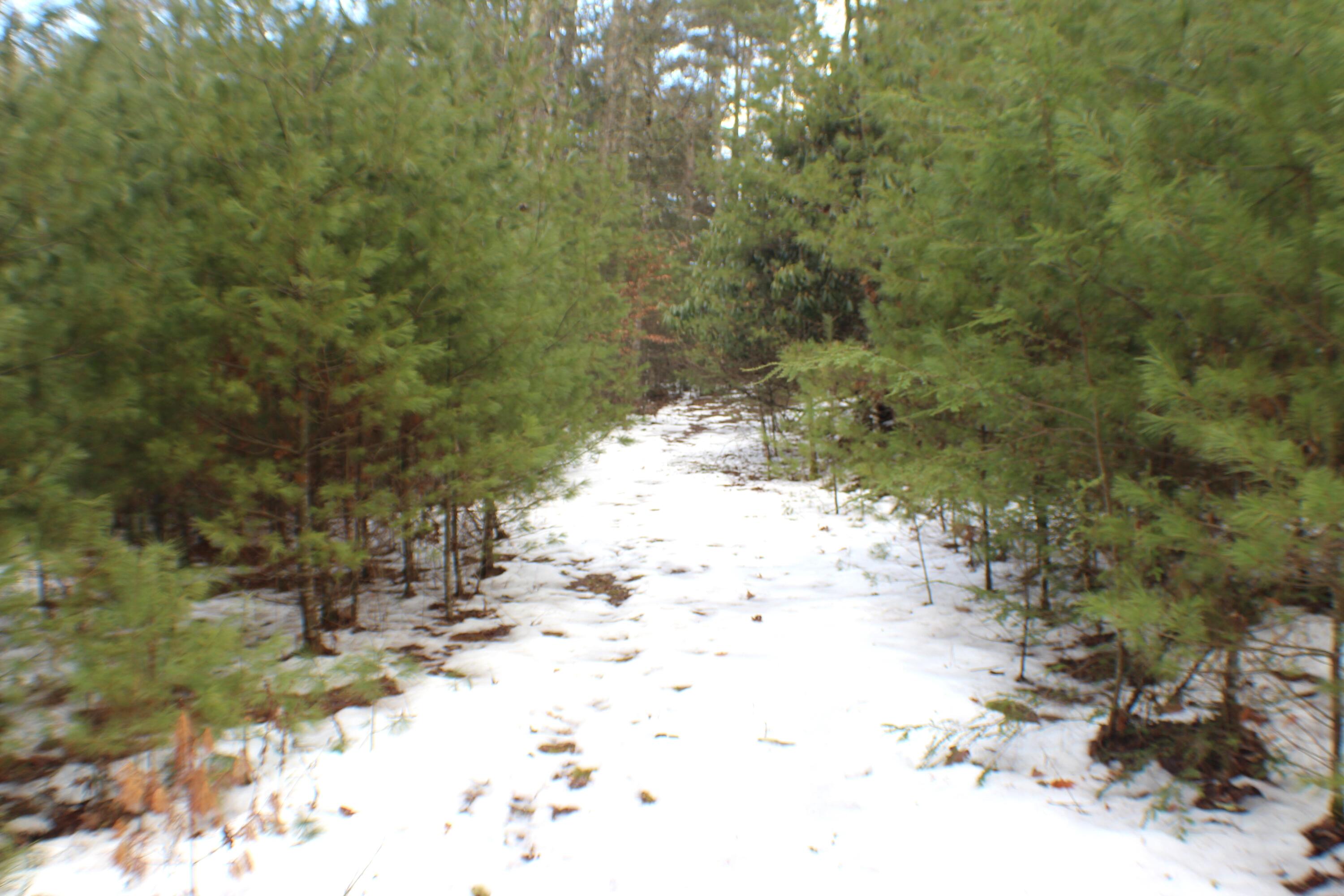 Beaver Creek Road Marlinton, WV 24954 - Photo 3 of 5 Gallery Image 3