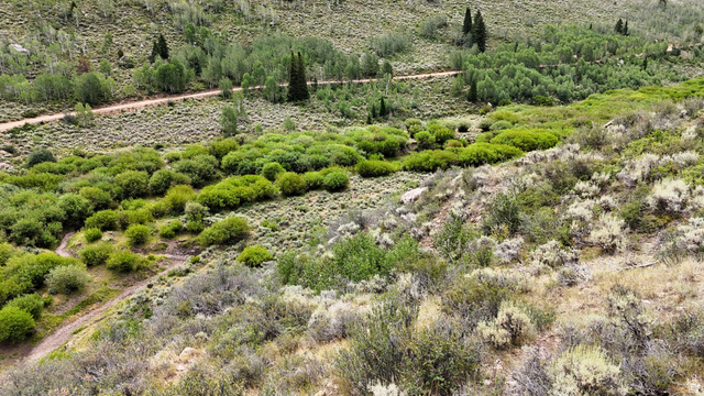 123 Beaver Creek Road Helper, UT 84526 - Photo 13 of 47 Expansive natural landscape with varied foliage, including lush green shrubs and lighter-toned brush, traversed by a winding dirt path