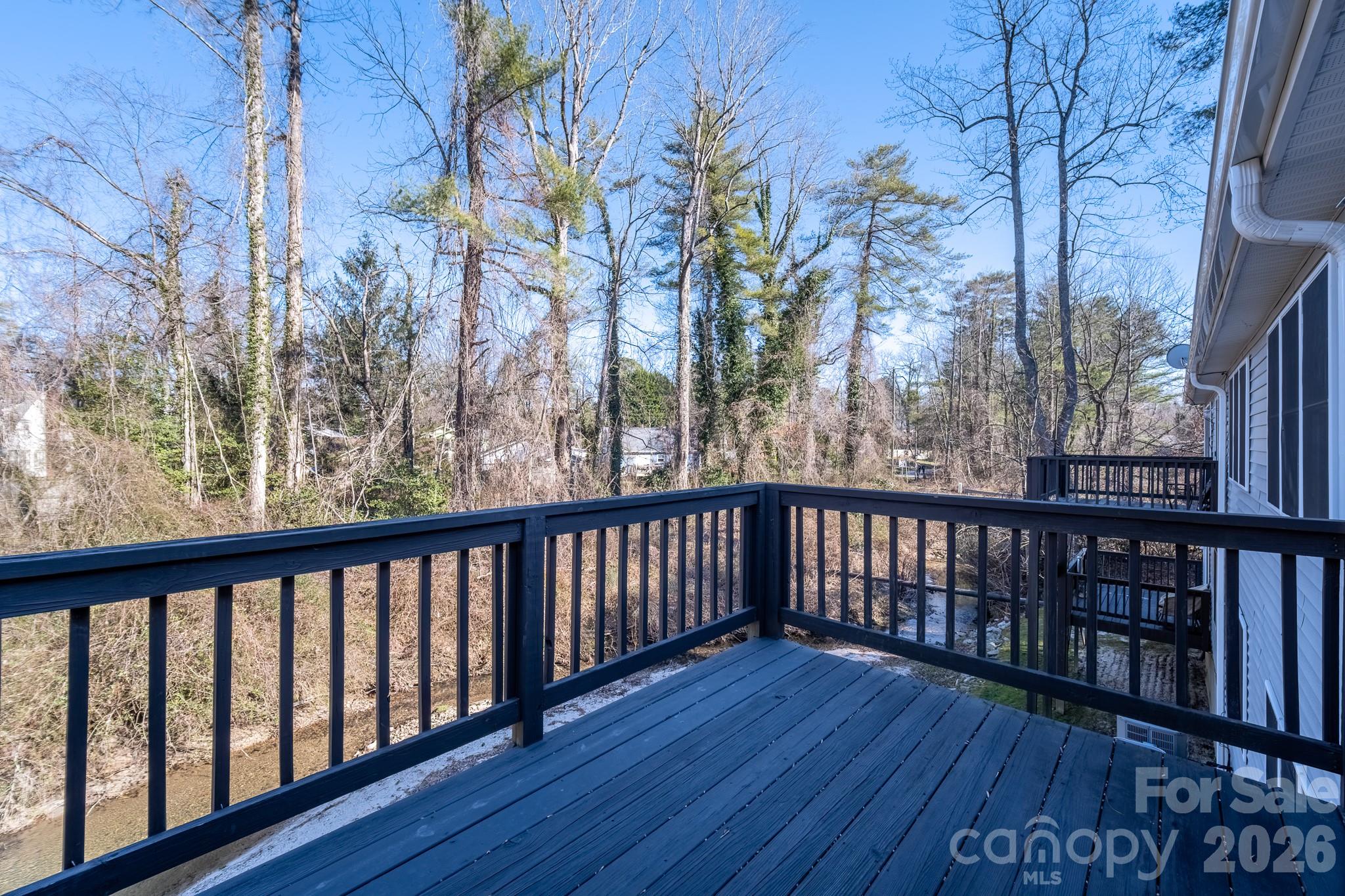 131 Ewarts Pond Road Hendersonville, NC 28739 - Photo 41 of 46