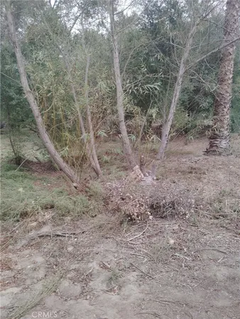 a view of a dry yard with wooden fence