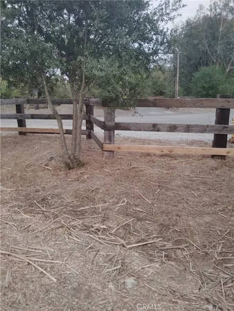 a view of a backyard with large trees