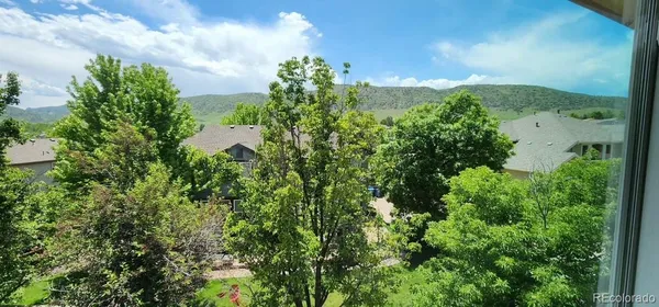 a view of a garden