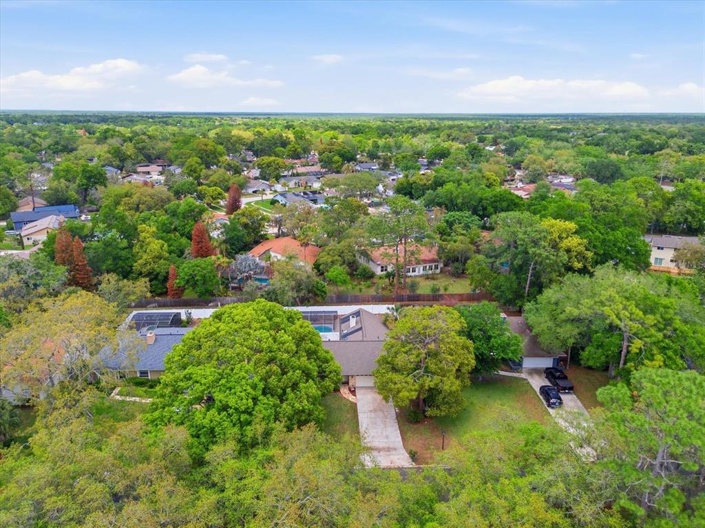 393 Wekiva Cove Road Longwood, FL 32779 - Photo 46 of 49 a view of a garden