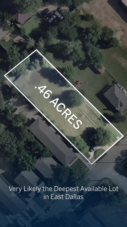 a black and white photo of a garden