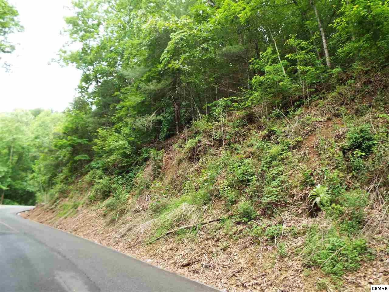 14 Sunset Road Sevierville, TN 37862 - Photo 4 of 20