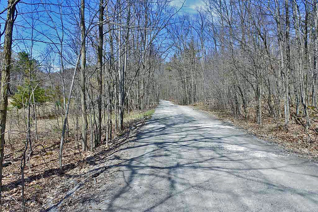 291 Turkey Farm Road Benson, VT 05743 - Photo 1 of 5