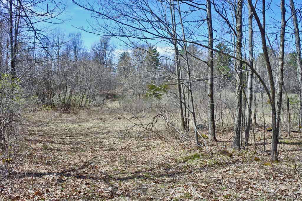 291 Turkey Farm Road Benson, VT 05743 - Photo 2 of 5