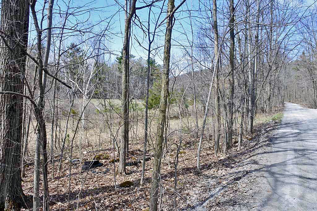 291 Turkey Farm Road Benson, VT 05743 - Photo 3 of 5