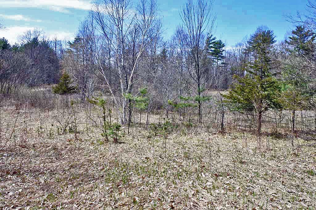 291 Turkey Farm Road Benson, VT 05743 - Photo 4 of 5