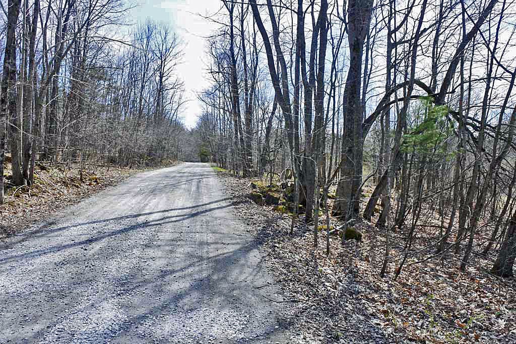 291 Turkey Farm Road Benson, VT 05743 - Photo 5 of 5