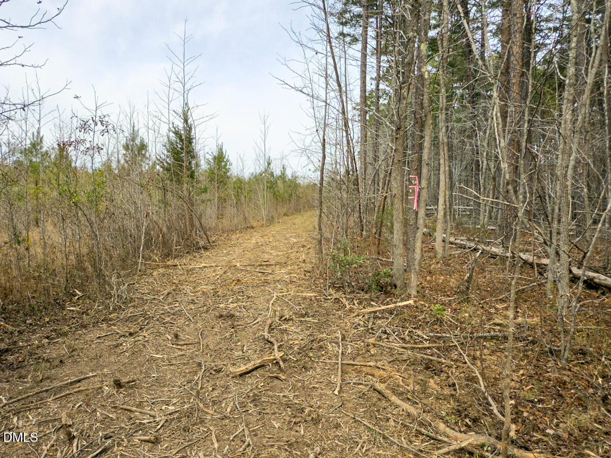 0 Mann Oakley Road Rougemont, NC 27572 - Photo 28 of 55 27