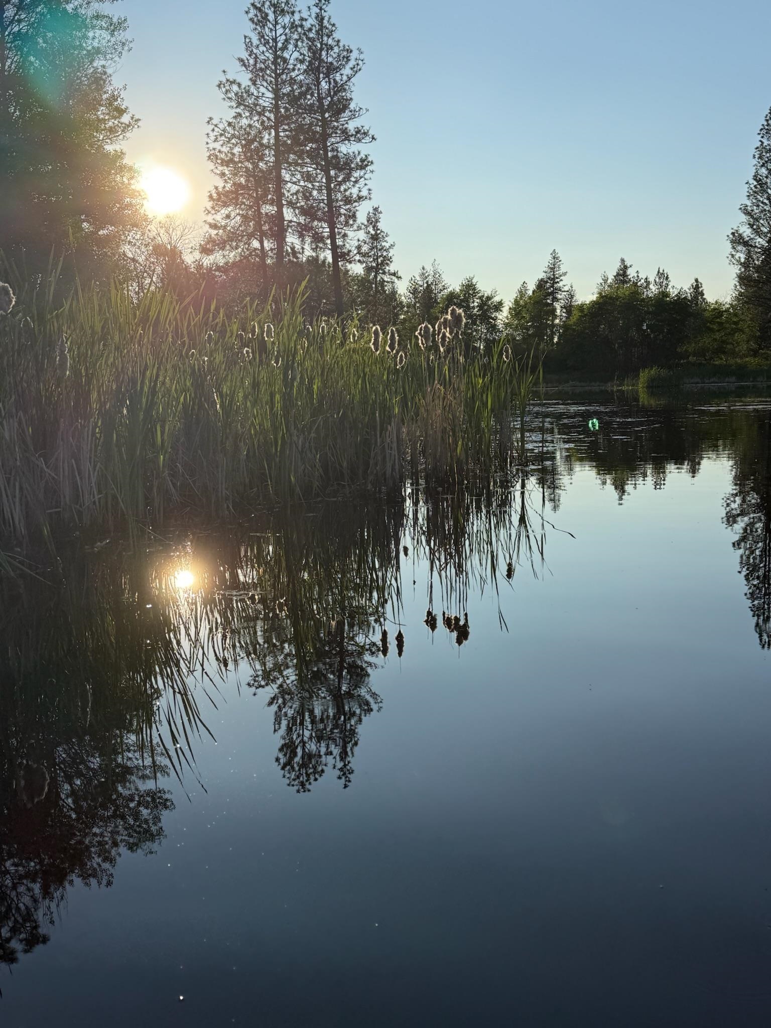 21517 West Cameron Road Cheney, WA 99004 - Photo 31 of 49