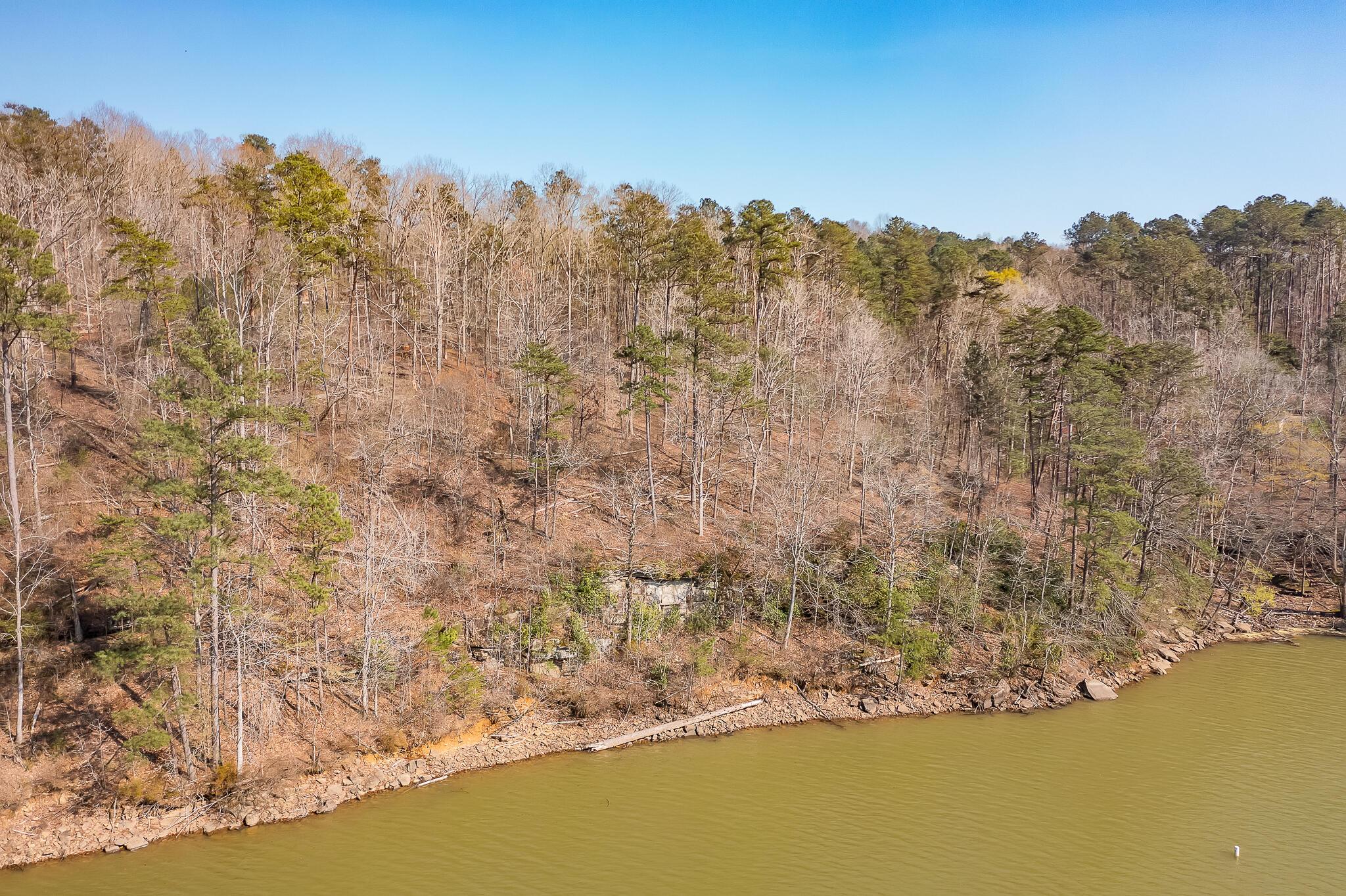 Lot 4 Poplar Ridge Cordova, AL 35550 - Photo 5 of 10 Gallery Image 5