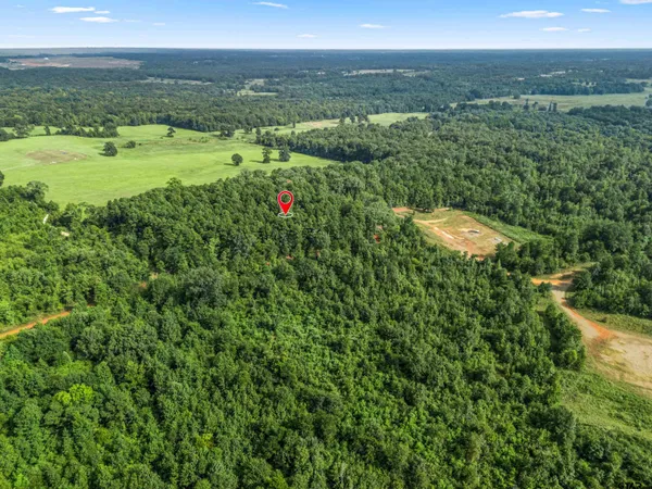 $89,999 | 2208 D Easton Tx 75641, Rockwood, TX 76873