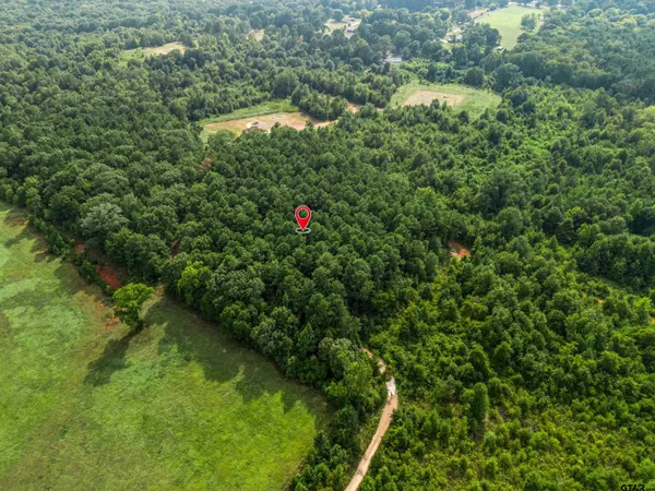 $89,999 | 2208 D Easton Tx 75641, Rockwood, TX 76873