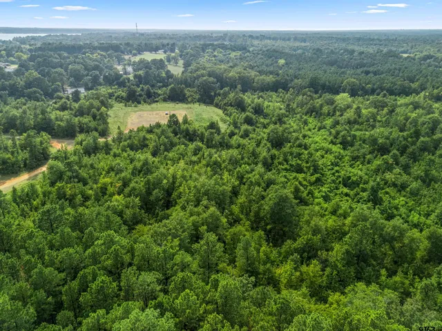 $89,999 | 2208 D Easton Tx 75641, Rockwood, TX 76873