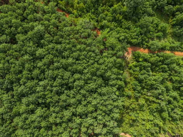 $89,999 | 2208 D Easton Tx 75641, Rockwood, TX 76873