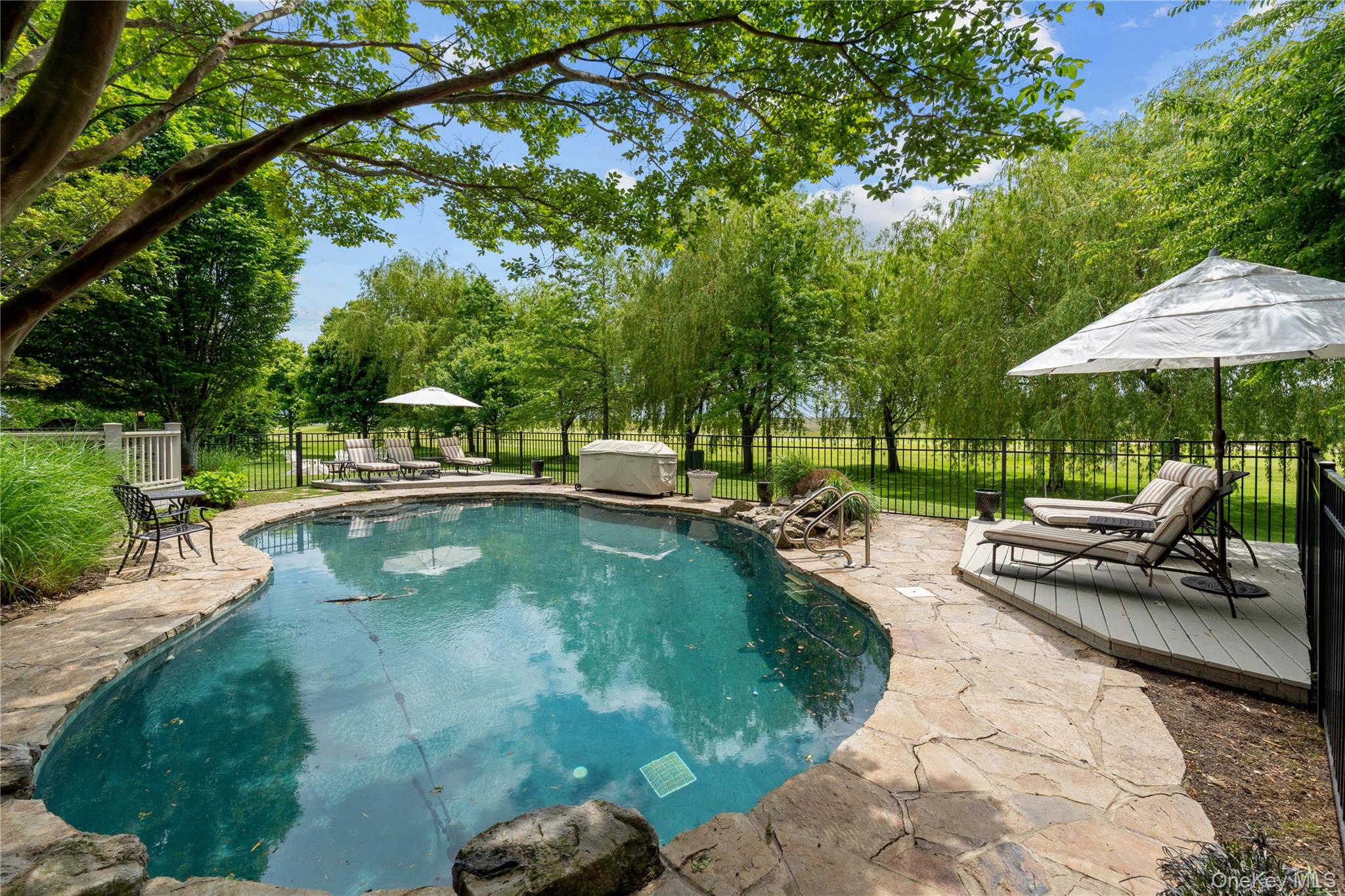 11 Hickory Road Woodmere, NY 11598 - Photo 43 of 50 IN GROUND GUNITE HEATED SALTWATER POOL