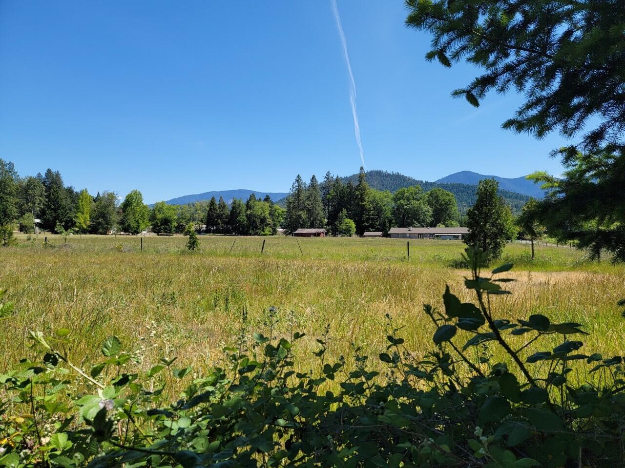 1611 Timberridge Road Grants Pass, OR 97527 - Photo 7 of 12 1611 pasture 2