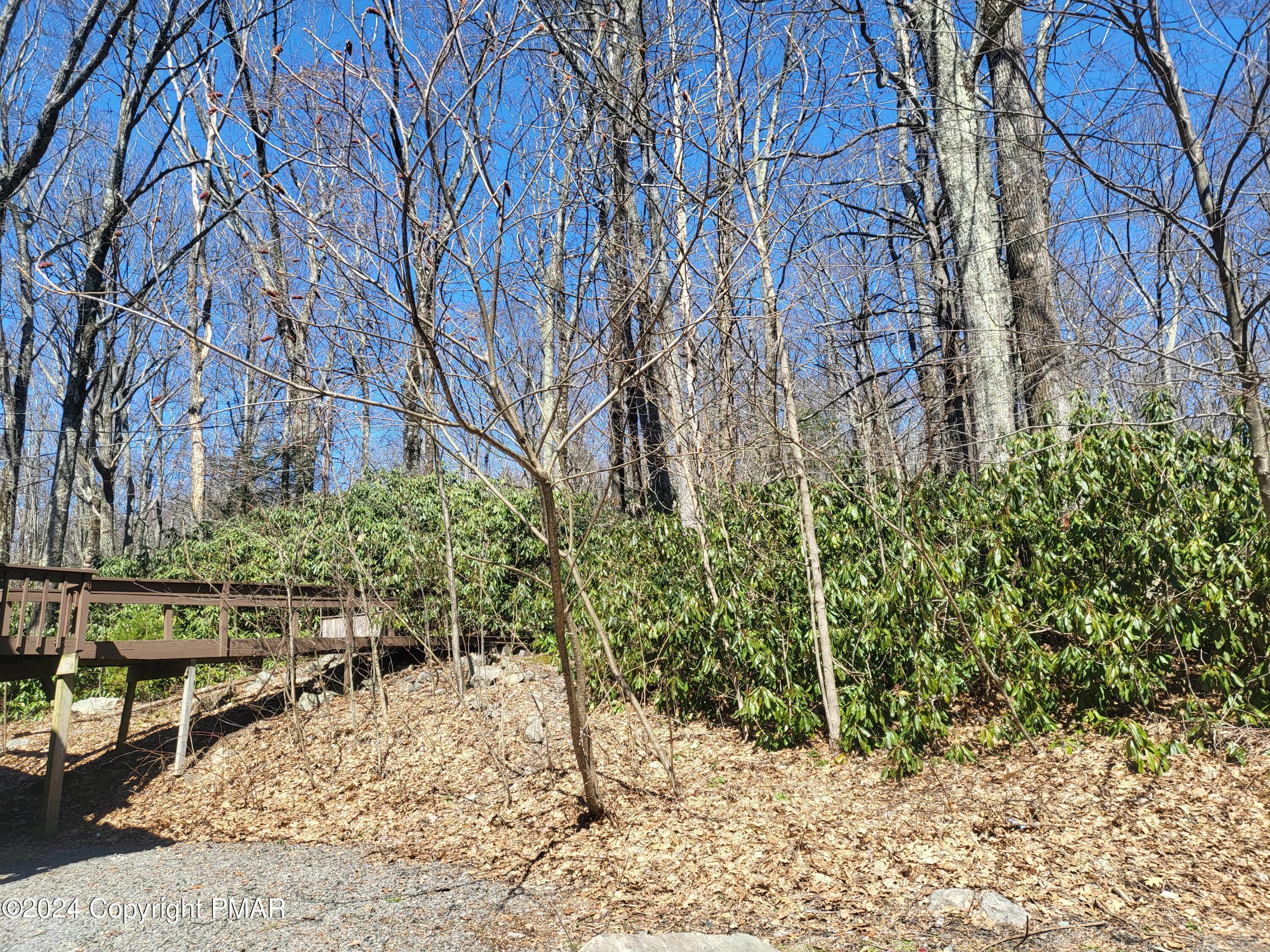 2153 Gravel Road Canadensis, PA 18325 - Photo 23 of 30 Native Rhodedendron