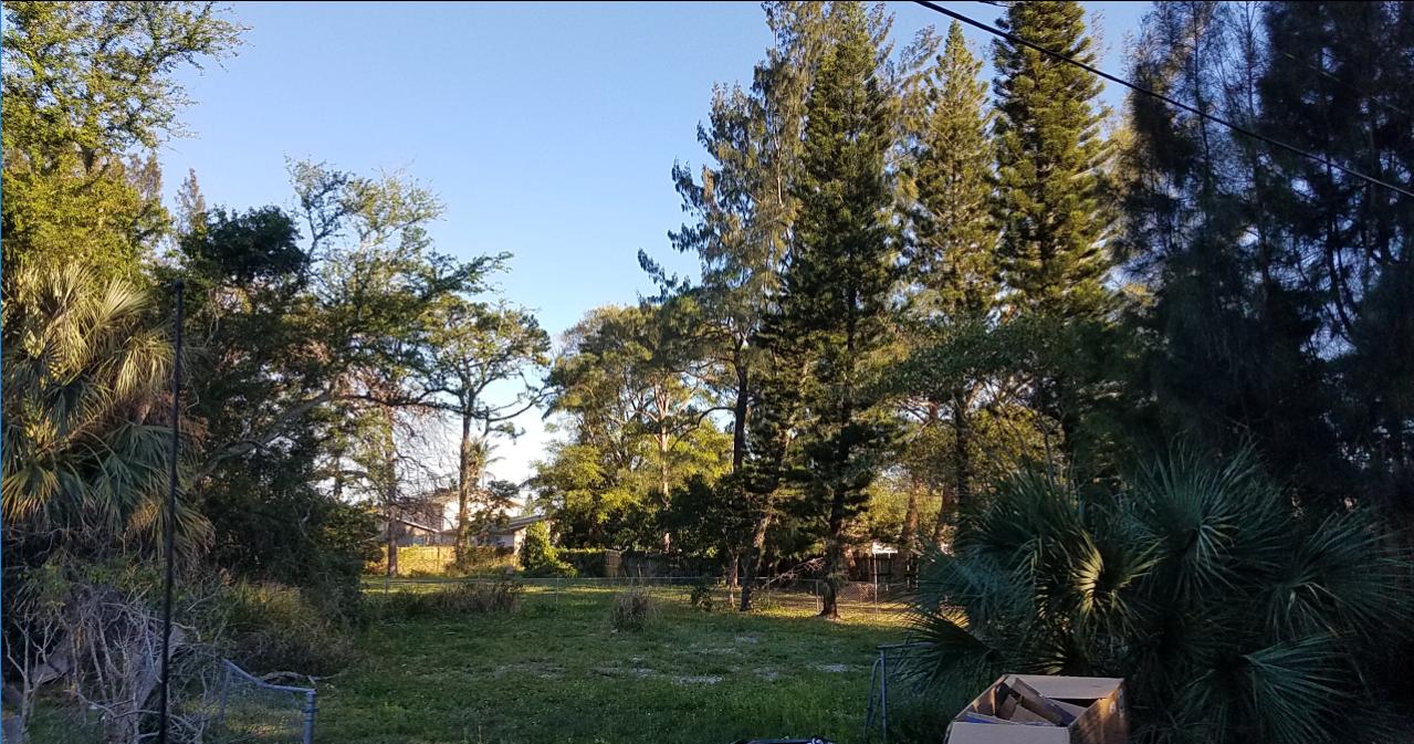 916 Weymouth Road Lake Worth, FL 33461 - Photo 2 of 5 a view of a park with large trees