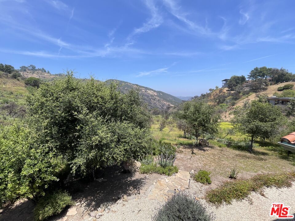 2373 Tuna Canyon Road Topanga, CA 90290 - Photo 12 of 54 a view of a yard with a tree
