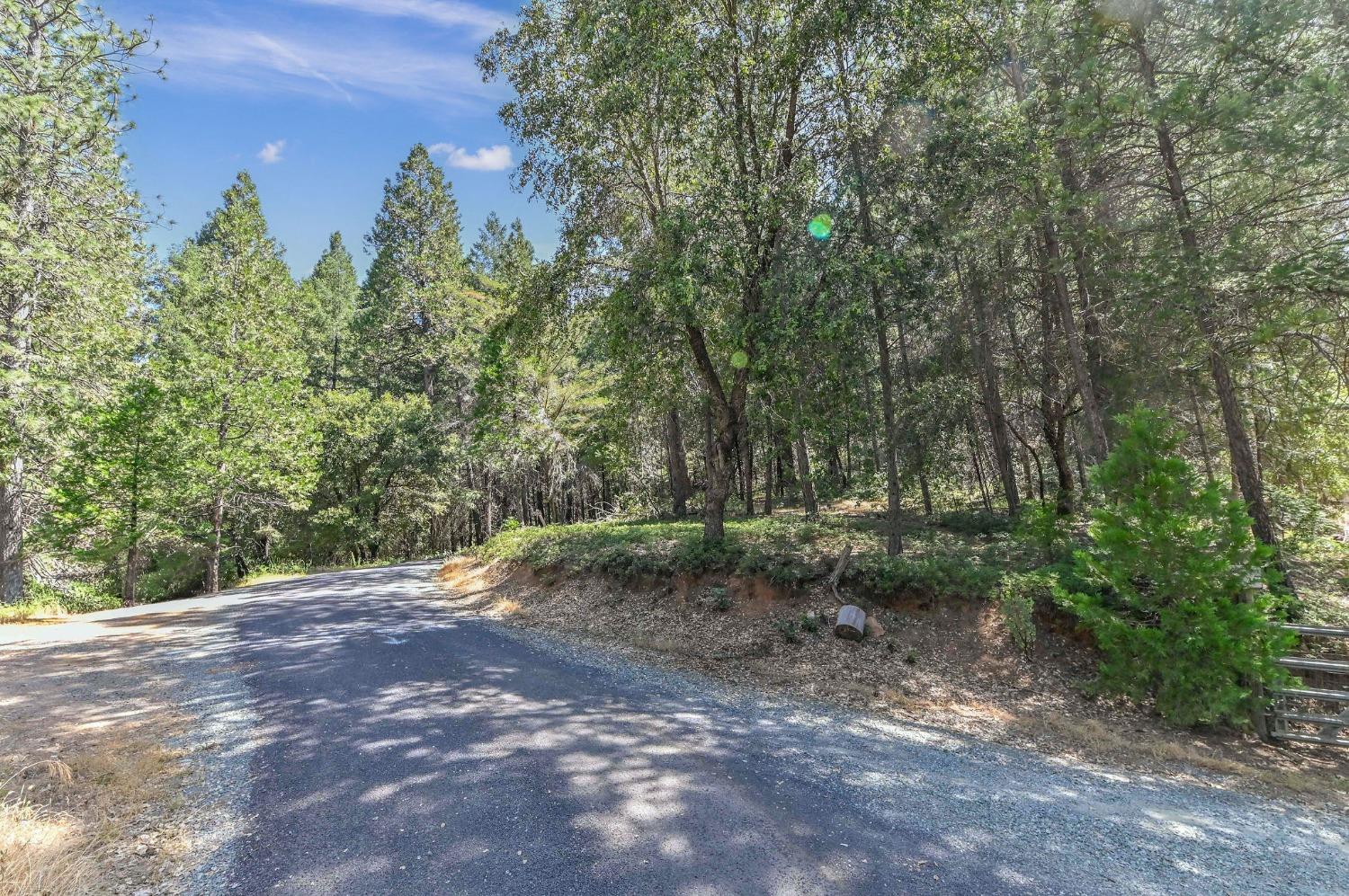 21670 Clute Canyon Road Volcano, CA 95689 - Photo 12 of 13 a view of a forest with trees in the background