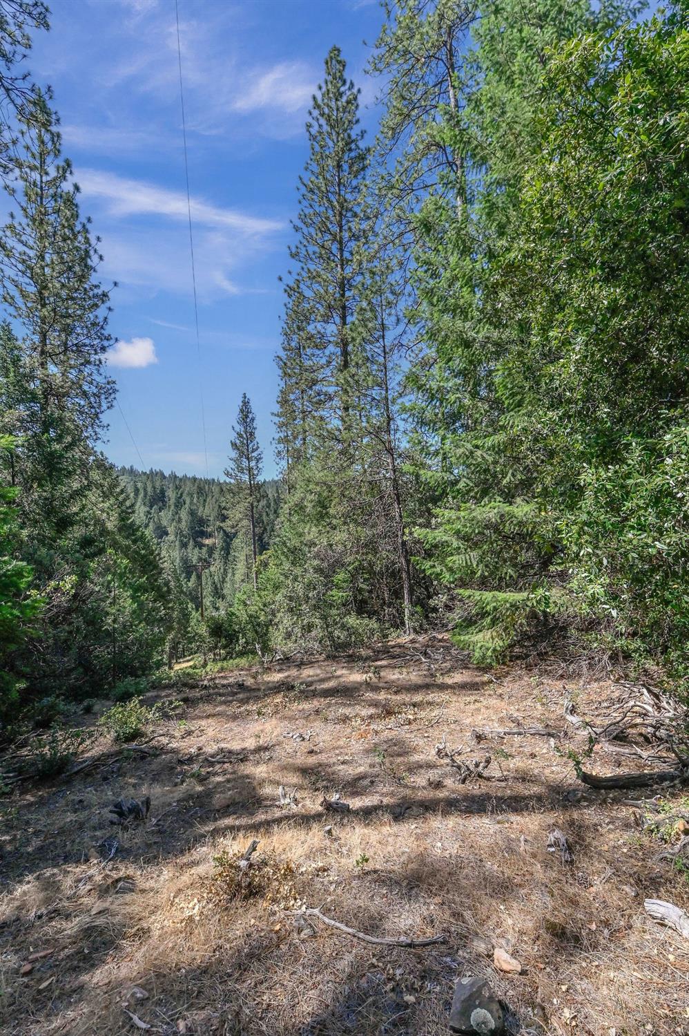 21670 Clute Canyon Road Volcano, CA 95689 - Photo 2 of 13 a backyard of a house with lots of green space