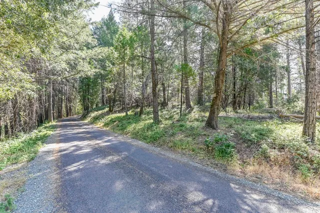a view of outdoor space and trees